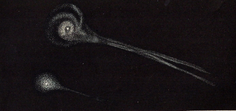 Der Komet Biela 1846